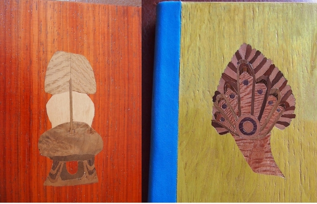 etui-kobo.jpg