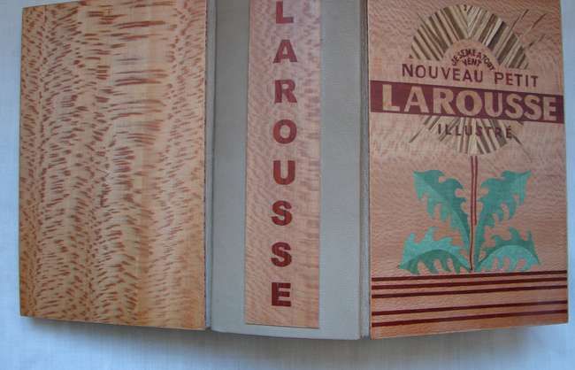 dico-larousse-ouvert.jpg