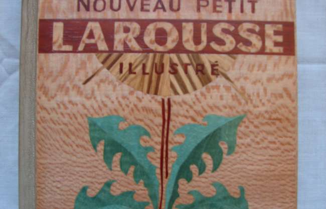 dico-larousse.jpg